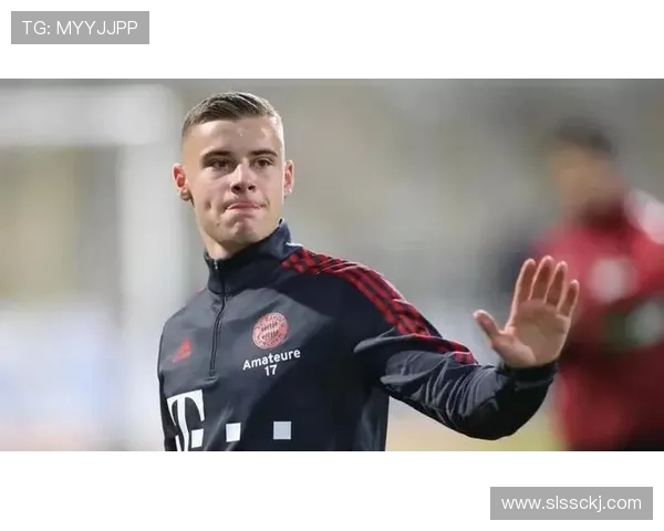 官方：拜仁前锋维多维奇 120 万欧加盟萨格勒布迪纳摩，身披 10 号剑指双冠